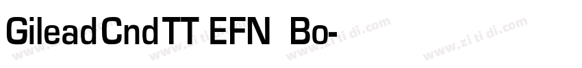 Gilead Cnd TT EFN Bo字体转换 Gilead Cnd TT EFN Bo字体转换